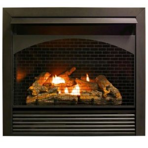 ProCom 32â? Zero Clearance Fireplace Insert With Remote - Model FBNSD32RT